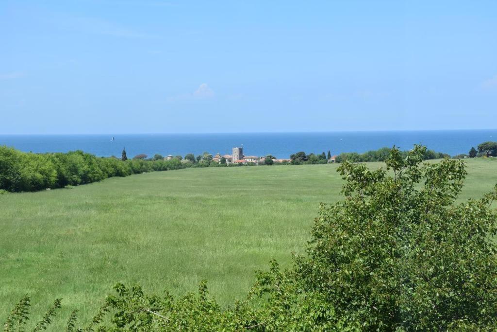 Apartmani Ritosa Novigrad Istria Eksteriør bilde