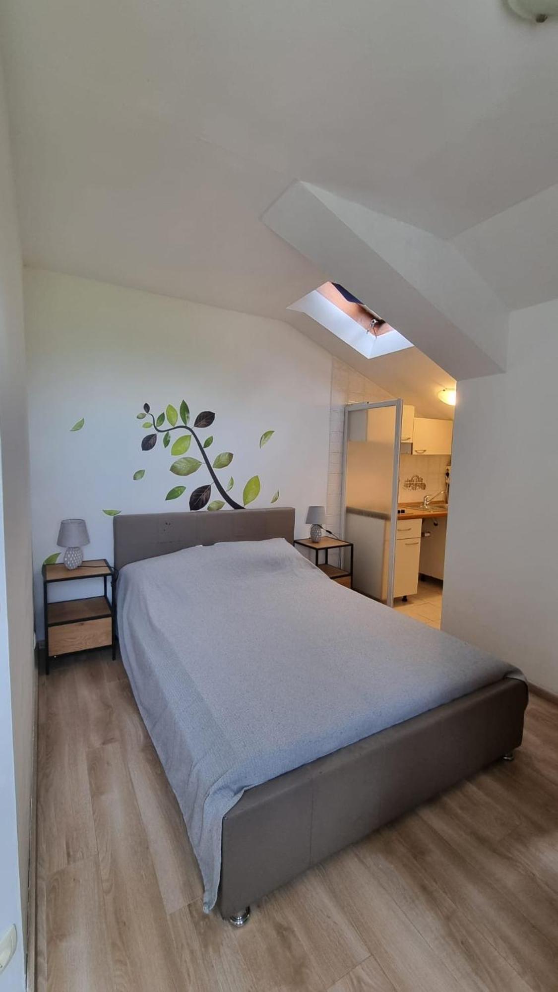 Apartmani Ritosa Novigrad Istria Eksteriør bilde